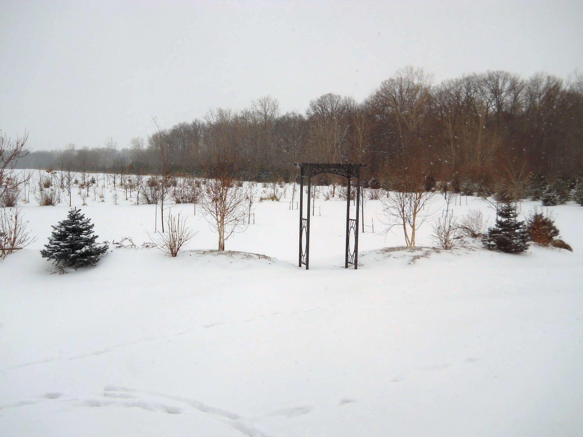 Wenzler'S Landing B&B Wheatley Екстер'єр фото